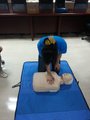 20140513_103041
