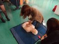 SAM_8150