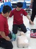 SAM_9042