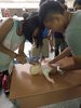 IMG20160815183437