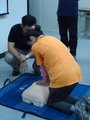 SAM_0923