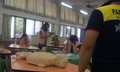 IMAG0523