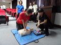 SAM_0422